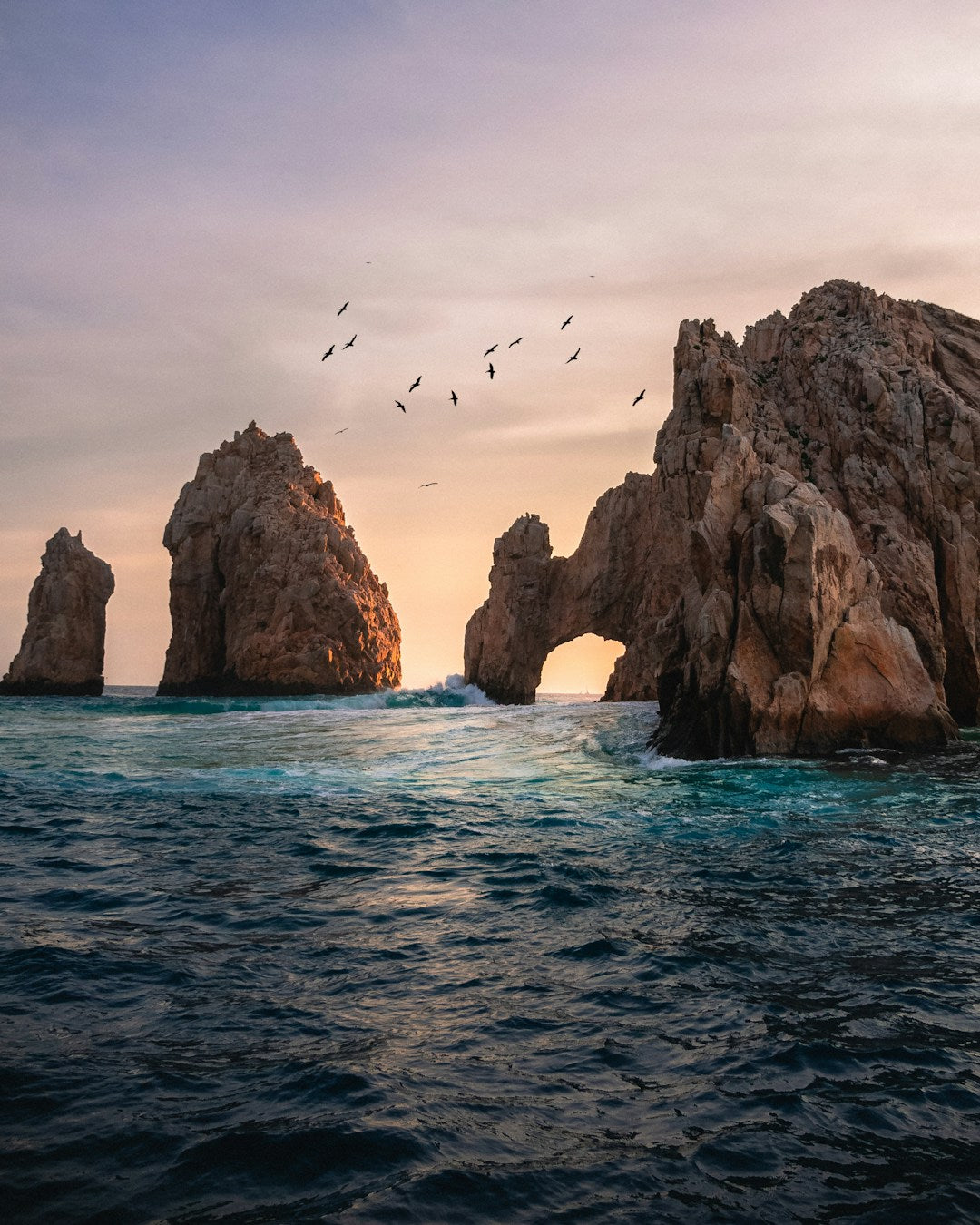 things to do in San Diego this weekend in San Diego, CA - San Diego Lifestyle Guide professional services